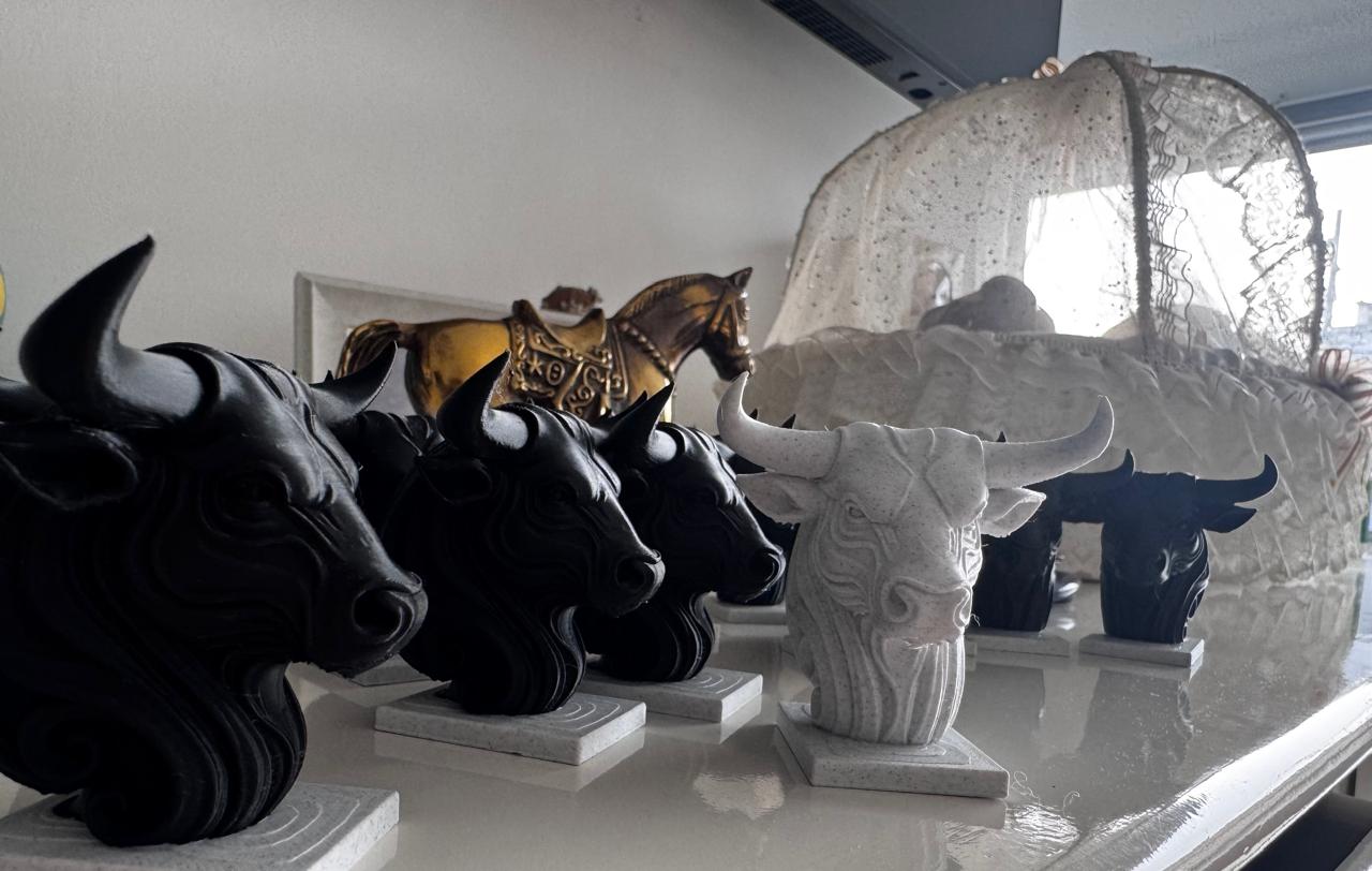 whatsapp image 2026 02 16 at 19.06.23s